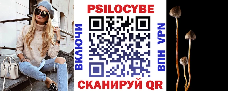 Псилоцибиновые грибы Psilocybe Усинск